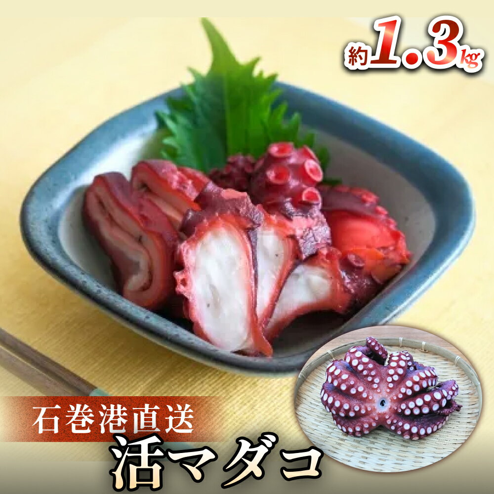 マダコ 煮たこ 石巻港 直送 たこ タコ ボイル 活マダコ 丸ごと おかず おつまみ