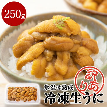 【ふるさと納税】 訳あり 氷温(R)熟成 冷凍生うに 250g 宮城県産 岩手県産 規格外 不揃い 小分け ウニ丼 ミョウバン不使用 雲丹 ウニ 刺身