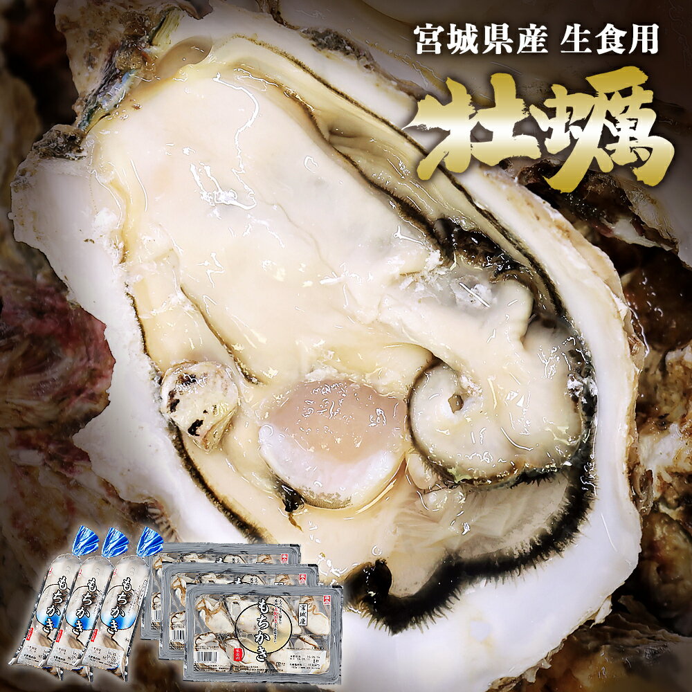 【ふるさと納税】牡蠣 宮城県産 生食用 もちかき 450g＋24粒 冷蔵 大粒 三陸 生牡蠣 生ガキ 生カキ 宮城県 石巻市 魚喜久水産