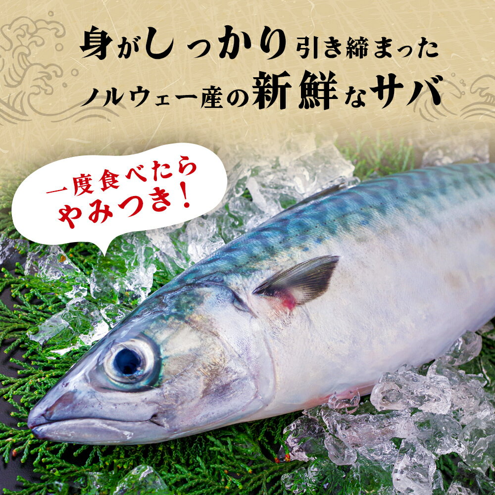 【ふるさと納税】＜ 訳あり ＞ 発送月指定なし 無添加 無塩サバフィレ 2kg 魚 冷凍 不揃い 規格外 焼き魚 焼魚 鯖 切身 さば サバ フィレ 宮城県 石巻市