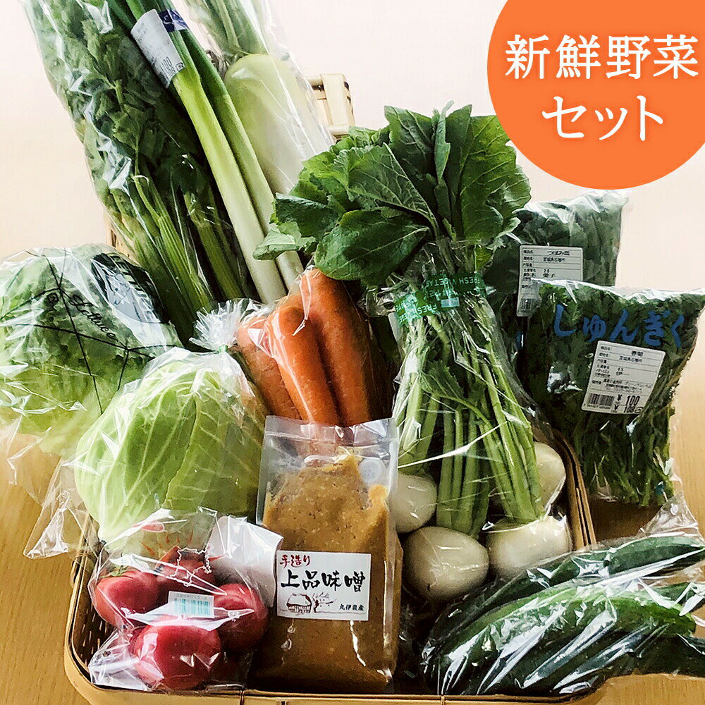 【ふるさと納税】野菜 水沢種苗店おススメ新鮮野菜・加工品セット 宮城県 石巻市 おやさい やさい お野菜 せっと 新鮮お野菜 旬 お届け