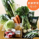 3位! 口コミ数「2件」評価「5」野菜 水沢種苗店おススメ新鮮野菜・加工品セット 宮城県 石巻市