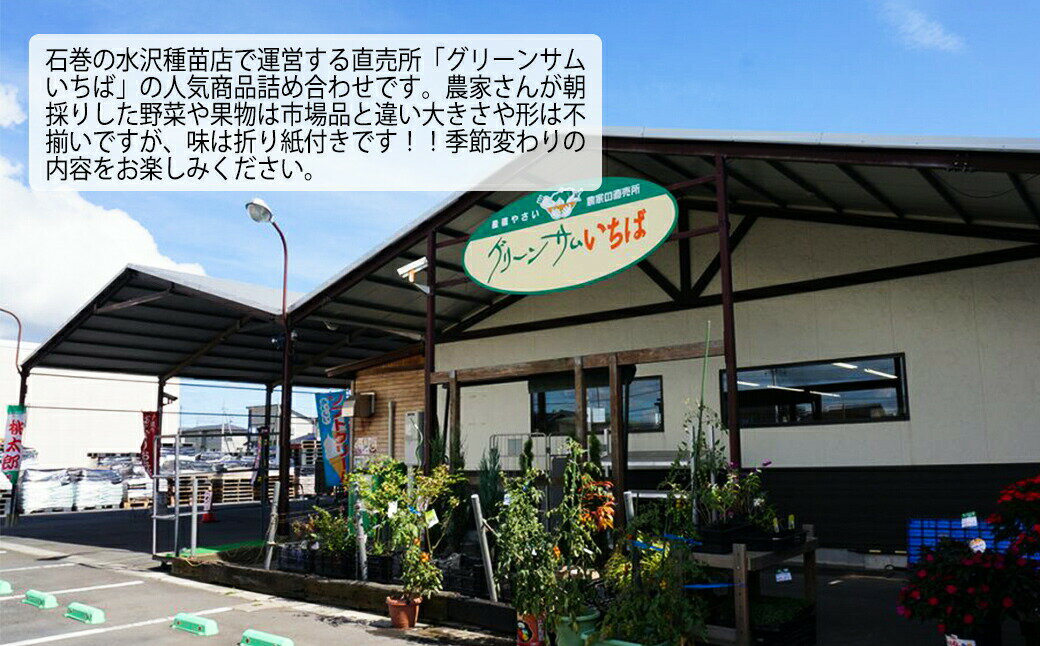 【ふるさと納税】野菜 水沢種苗店おススメ新鮮野菜・加工品セット 宮城県 石巻市 おやさい やさい お野菜 せっと 新鮮お野菜 旬 お届け