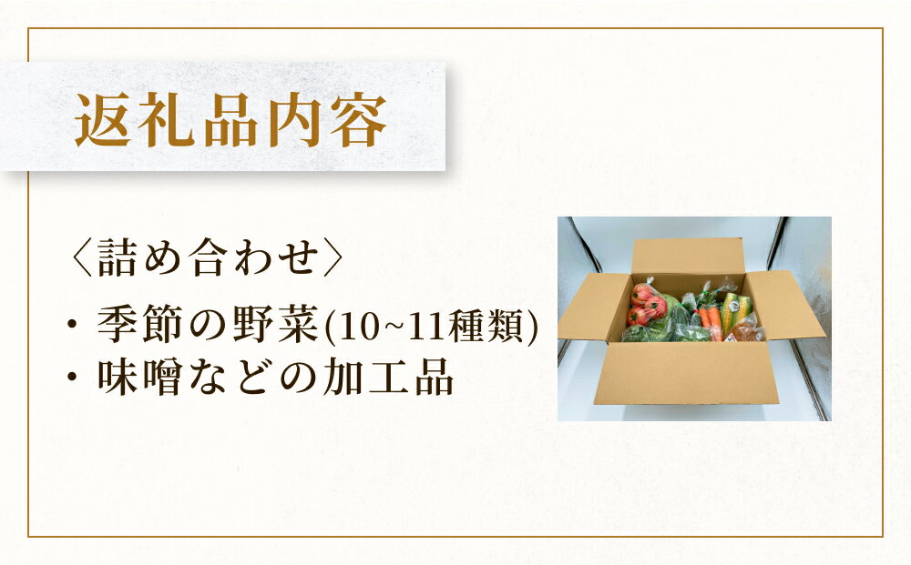 【ふるさと納税】野菜 水沢種苗店おススメ新鮮野菜・加工品セット 宮城県 石巻市 おやさい やさい お野菜 せっと 新鮮お野菜 旬 お届け