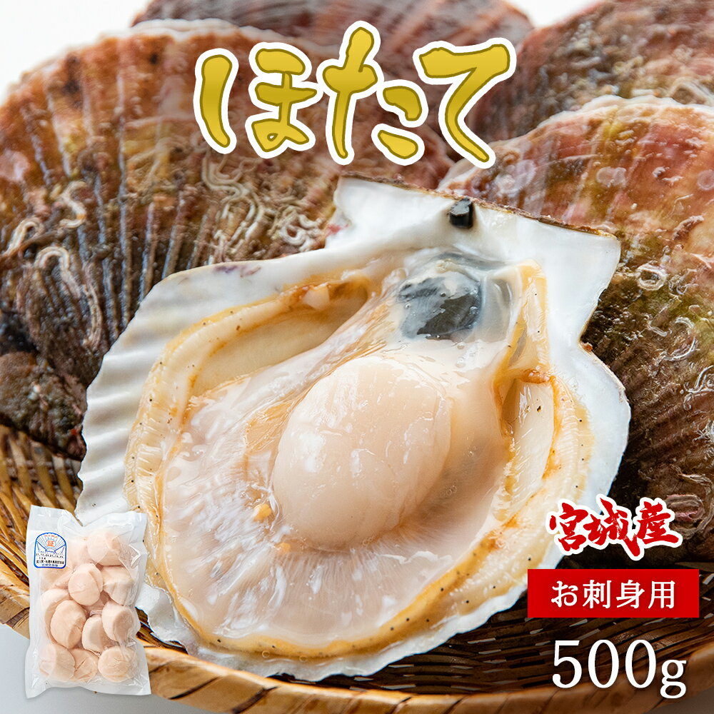 【ふるさと納税】帆立 宮城県産 冷凍 ホタテ貝柱 お刺身用 500g 帆立 生食 むき身 刺身 宮城県 石巻市のサムネイル