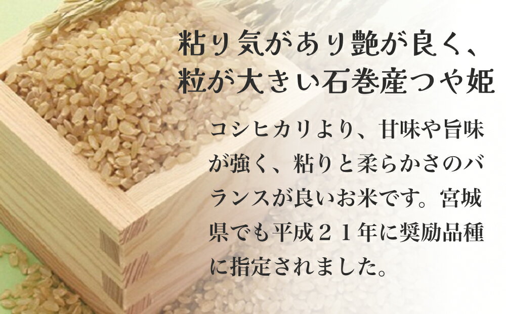 【ふるさと納税】つや姫一等玄米30kg　令和5年度産