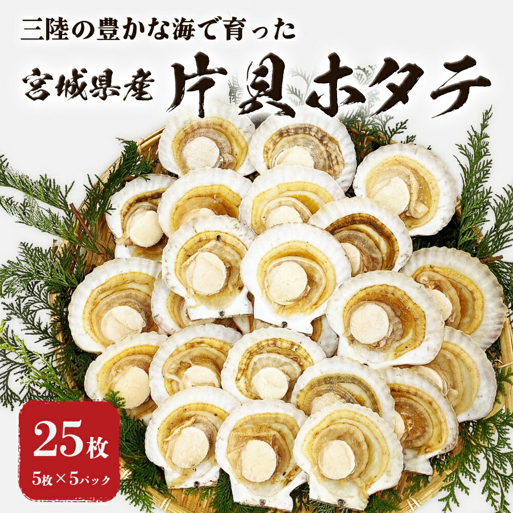 【ふるさと納税】ホタテ 宮城県産 大粒 片貝ホタテ 25枚 冷凍 加熱用 下処理済み 小分け 殻付きほたて 貝付きホタテ 帆立 ほたて バーベキュー BBQ おつまみ 送料無料 宮城県 石巻市 カネキ水産