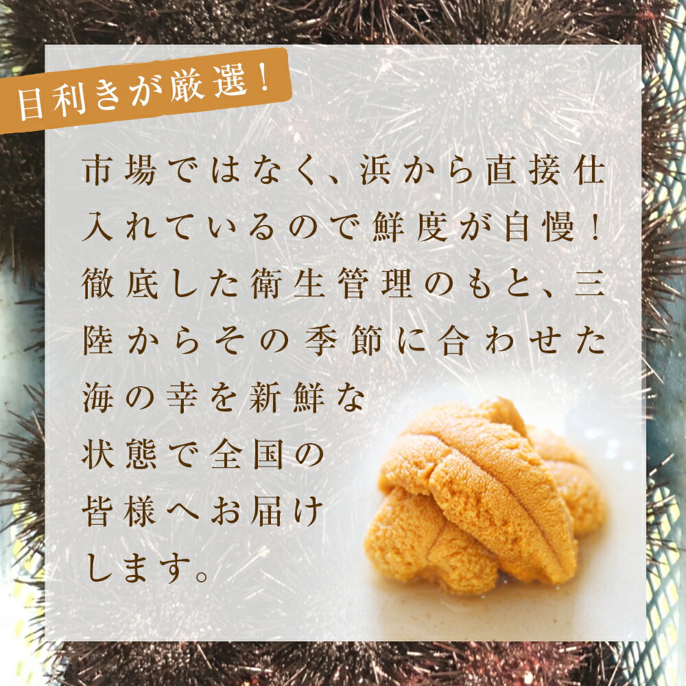 【ふるさと納税】生うに 宮城県産 殻付き お造り 生ウニ 6個 または 8個 冷蔵 ミョウバン不使用 刺身 雲丹 殻付き 宮城県 石巻市