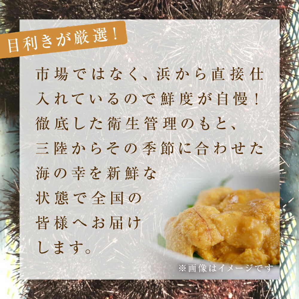 【ふるさと納税】＜訳あり＞宮城県産 塩水 生うに 80g×3 または80g×5 冷蔵 塩水うに 新鮮 ミョウバン不使用 刺身 雲丹 小分け むき身 宮城県 石巻市