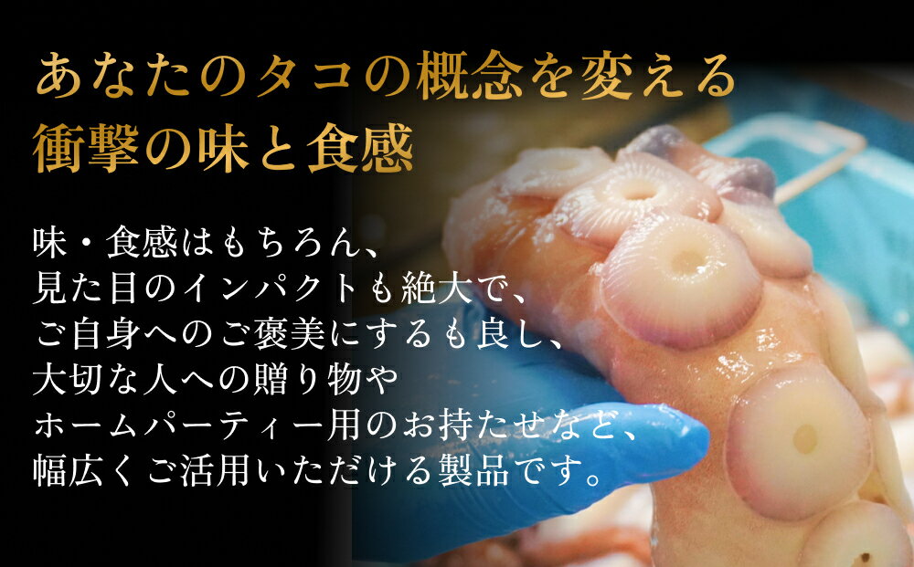 【ふるさと納税】活タコ 炙り焼き 一本足 定期便 隔月 2-6回 タコ たこ 国産 直火焼き おかず おつまみ タコ足 炙りタコ 蛸 国産たこ 海鮮 魚介 タコ刺し 刺身 酒の肴 宮城県 石巻市 送料無料 宮城 石巻 14日以内