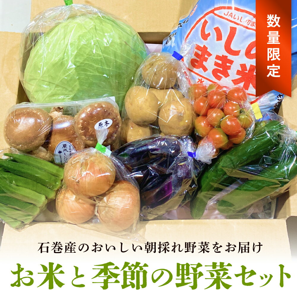 【ふるさと納税】＜数量限定＞石巻産 お米と季節の野菜セット 朝採れ 旬の野菜 季節の野菜 お野菜 詰め合わせ 食材 新鮮のサムネイル