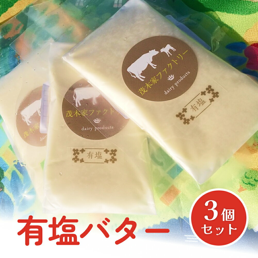 酪農家が作った 自家製バター (有塩) 100g×3個 有塩バター 塩分控えめ 搾りたて生乳使用 手作り バター 宮城県 石巻市