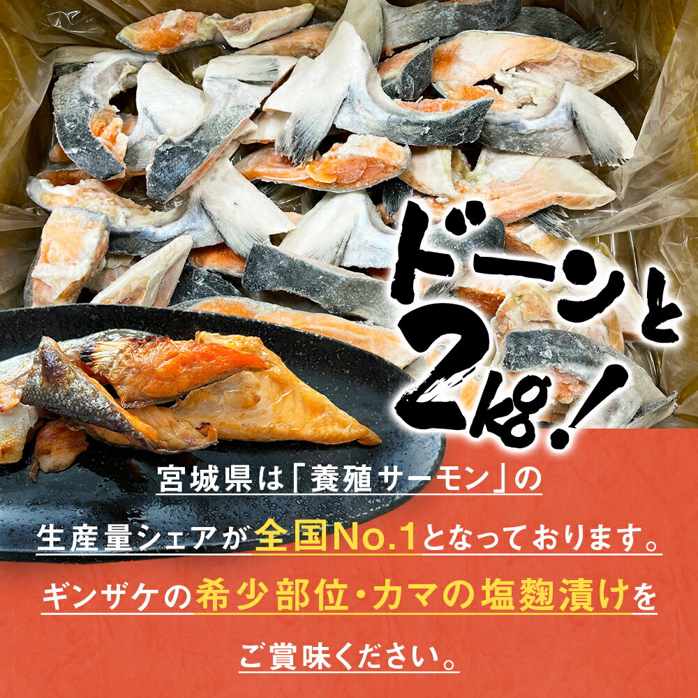 【ふるさと納税】【訳あり】 鮭 国産 銀鮭カマ 塩麹漬け 2kg 冷凍 不揃い 家庭用 鮭 サーモン 焼魚 惣菜 魚 カマ シャケ しゃけ 宮城県 石巻市