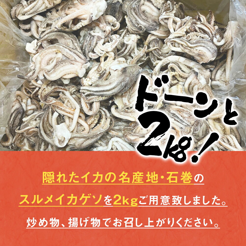 【ふるさと納税】〈 訳あり 〉 スルメイカ ゲソ 2kg 石巻産 スルメイカ ゲソ イカ カルパッチョ おつまみ 魚介類 焼イカ イカ料理