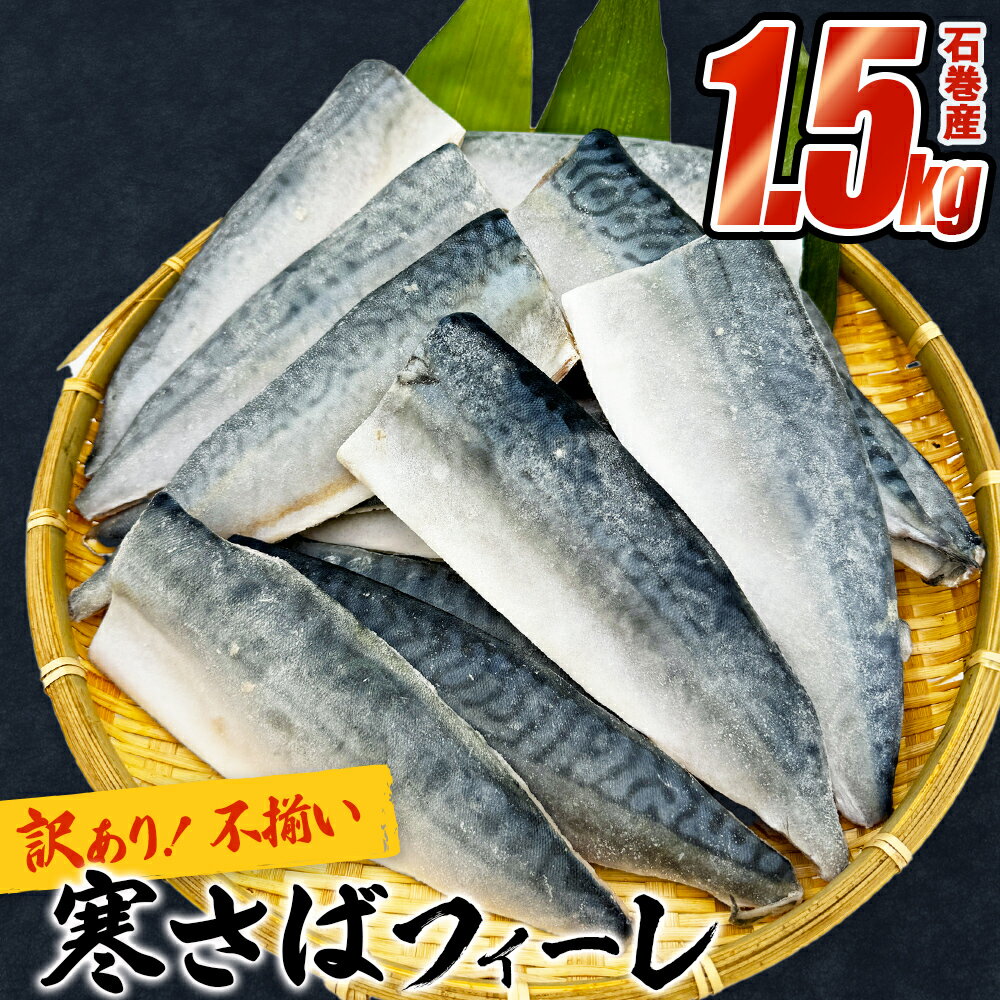 ＜訳あり＞宮城県産 冷凍 寒さば フィーレ（無塩）1.5kg 国産 さば フィレ 鯖 切身 焼魚 魚 さば 青魚 切り身 鯖 切身 宮城県 石巻市