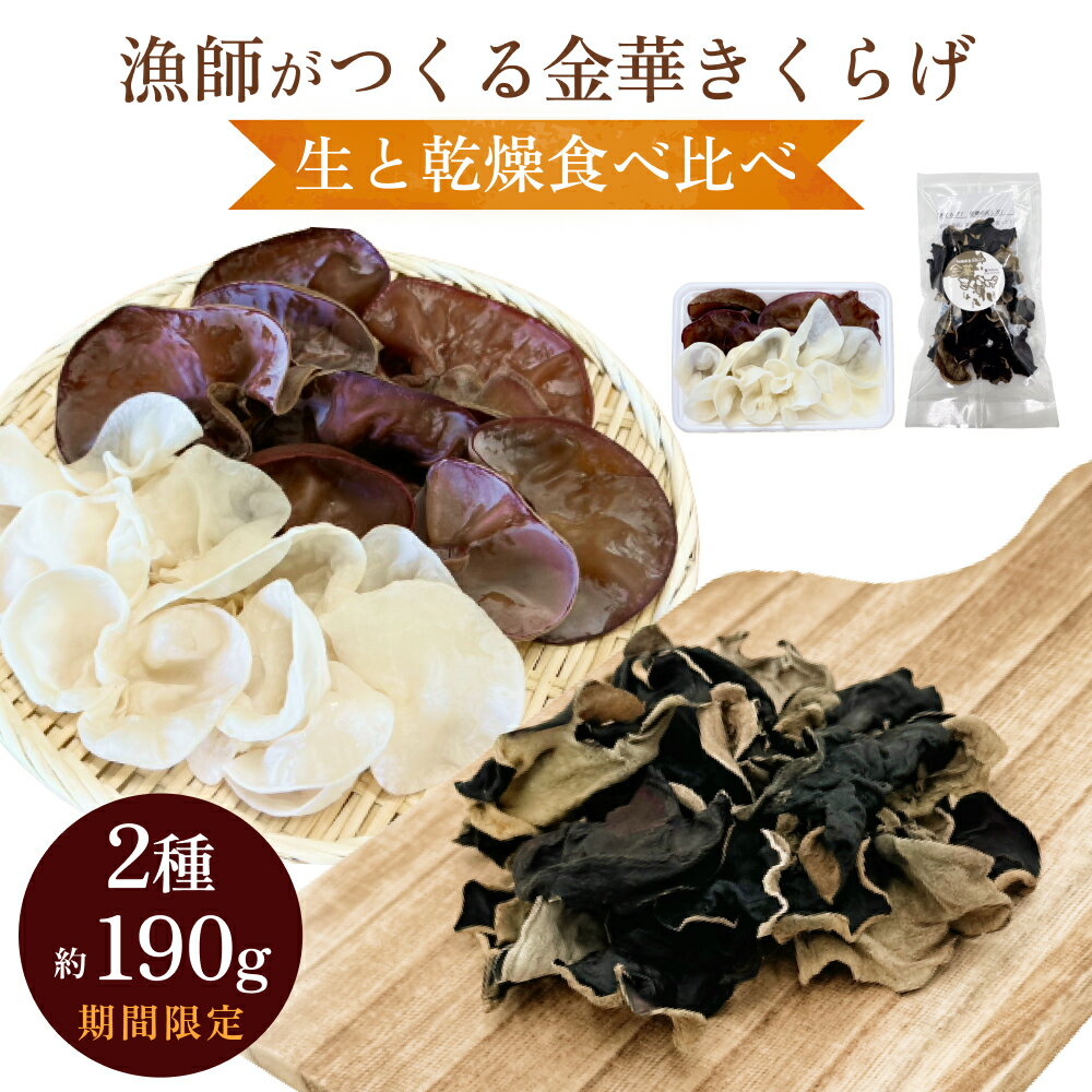 【ふるさと納税】＜ 期間限定 ＞ 漁師がつくる 金華 きくらげ 生と乾燥食べ比べ 合計約190g 生きくらげ 乾燥きくらげ キクラゲ 木耳 きのこ 乾燥 国産 食物繊維 野菜のサムネイル