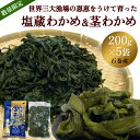 【ふるさと納税】世界三大漁場の恩恵をうけて育った塩蔵わかめ わかめ 三陸わかめ 肉厚 歯応え 茎わかめ (中)
