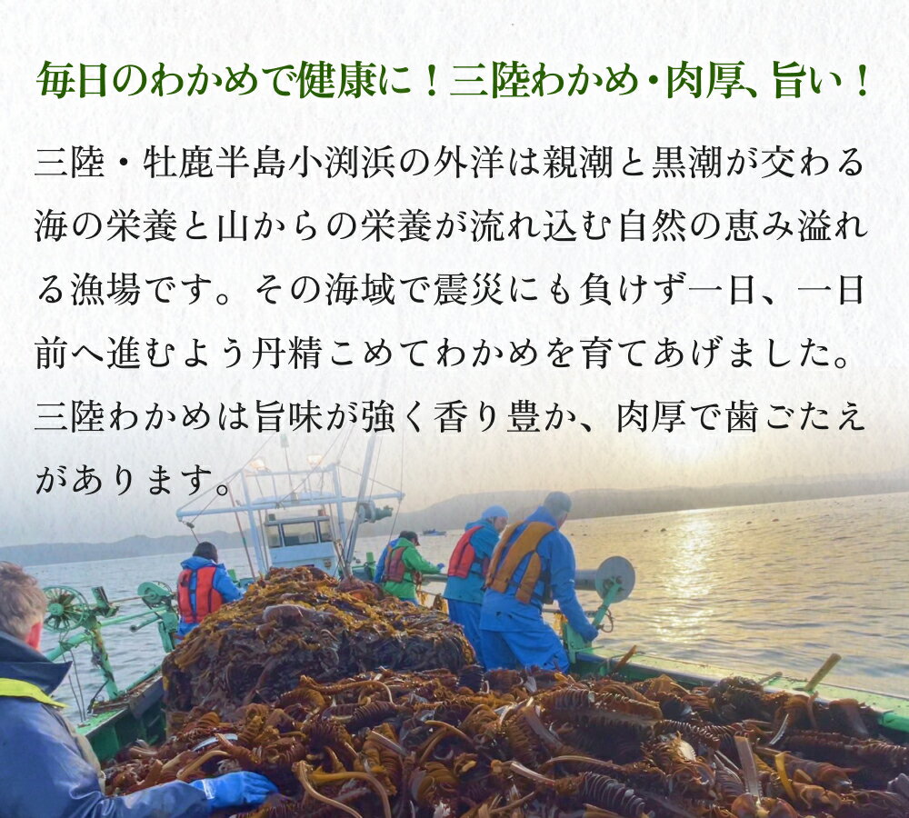 【ふるさと納税】世界三大漁場の恩恵をうけて育った塩蔵わかめ わかめ 三陸わかめ 肉厚 歯応え 茎わかめ (大)