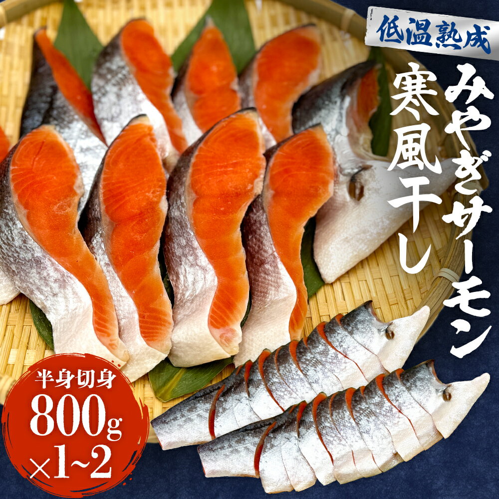 鮭 切り身 みやぎ サーモン 寒風干し 800g×1-2 宮城県産銀鮭 銀鮭 国産 さけ サケ シャケ 魚 切り身 冷凍 小分け 焼き魚 さかな 切身 おかず ご飯のお供 弁当 簡単調理 魚介 海鮮 熟成 高品質 高鮮度 低温熟成 宮城県 石巻 石巻市 送料無料