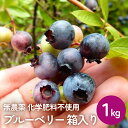 【ふるさと納税】ブルーベリー (1kg) 箱入り 生 無農薬 化学肥料不使用 摘みたて 冷蔵 大粒 濃厚 フルーツ 果物 自然栽培 無農薬 化学肥料不使用