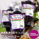 【ふるさと納税】ブルーベリージャム 200ml 無添加 摘みたて 手作り 果実 100% アントシアニン トッピング