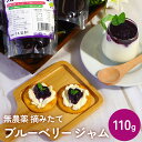 【ふるさと納税】ブルーベリージャム 110g 無添加 摘みたて 手作り 果実 100% アントシアニン トッピング