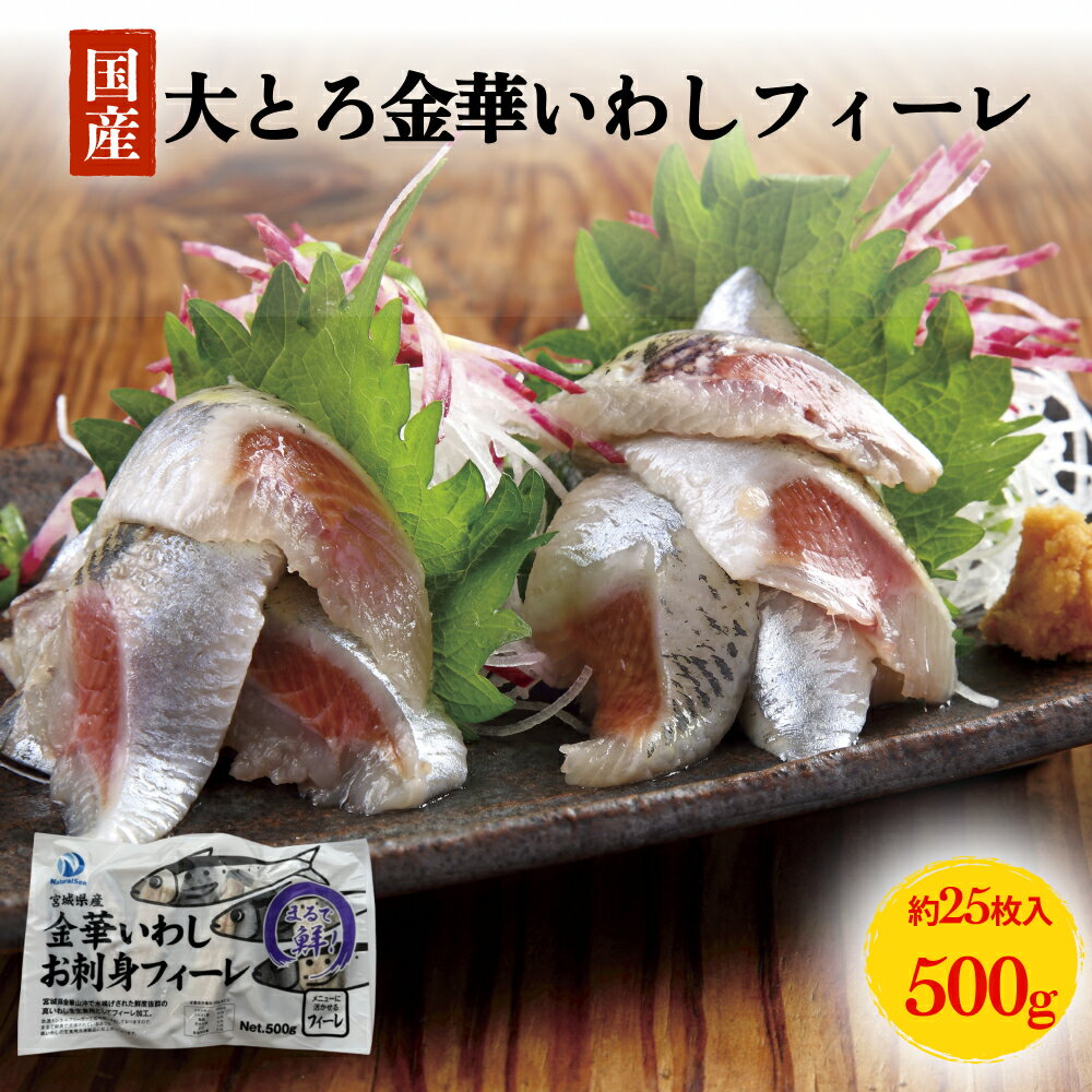大とろ金華いわしフィーレ 500g 金華いわし 鰯 いわし イワシ フィレ 切身 魚 魚介 海鮮 魚介類 急速冷凍