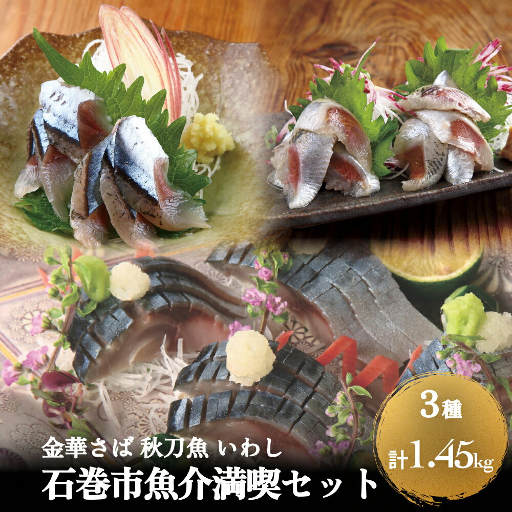 金華さば 秋刀魚 いわし 石巻市魚介満喫セット 鯖 サバ サンマ さんま 鰯 イワシ セット フィレ 切身 魚 魚介 海鮮 魚介類 急速冷凍