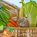 【ふるさと納税】農家持ち込み産直店のオススメ新鮮野菜セット(