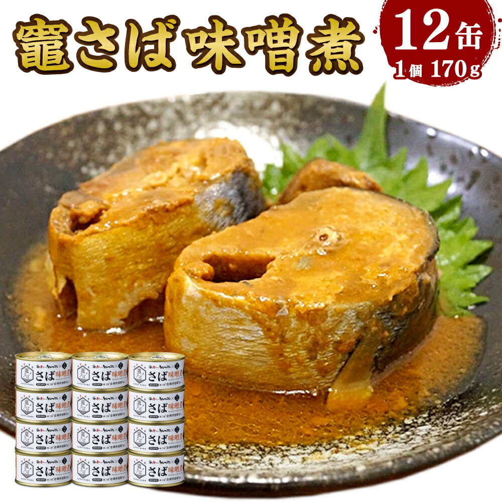 【ふるさと納税】竈 さば味噌煮 170g