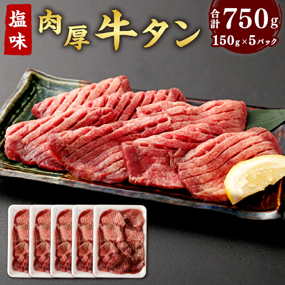 【ふるさと納税】仙台名物 肉厚 牛タン 焼き肉用 (塩味・大