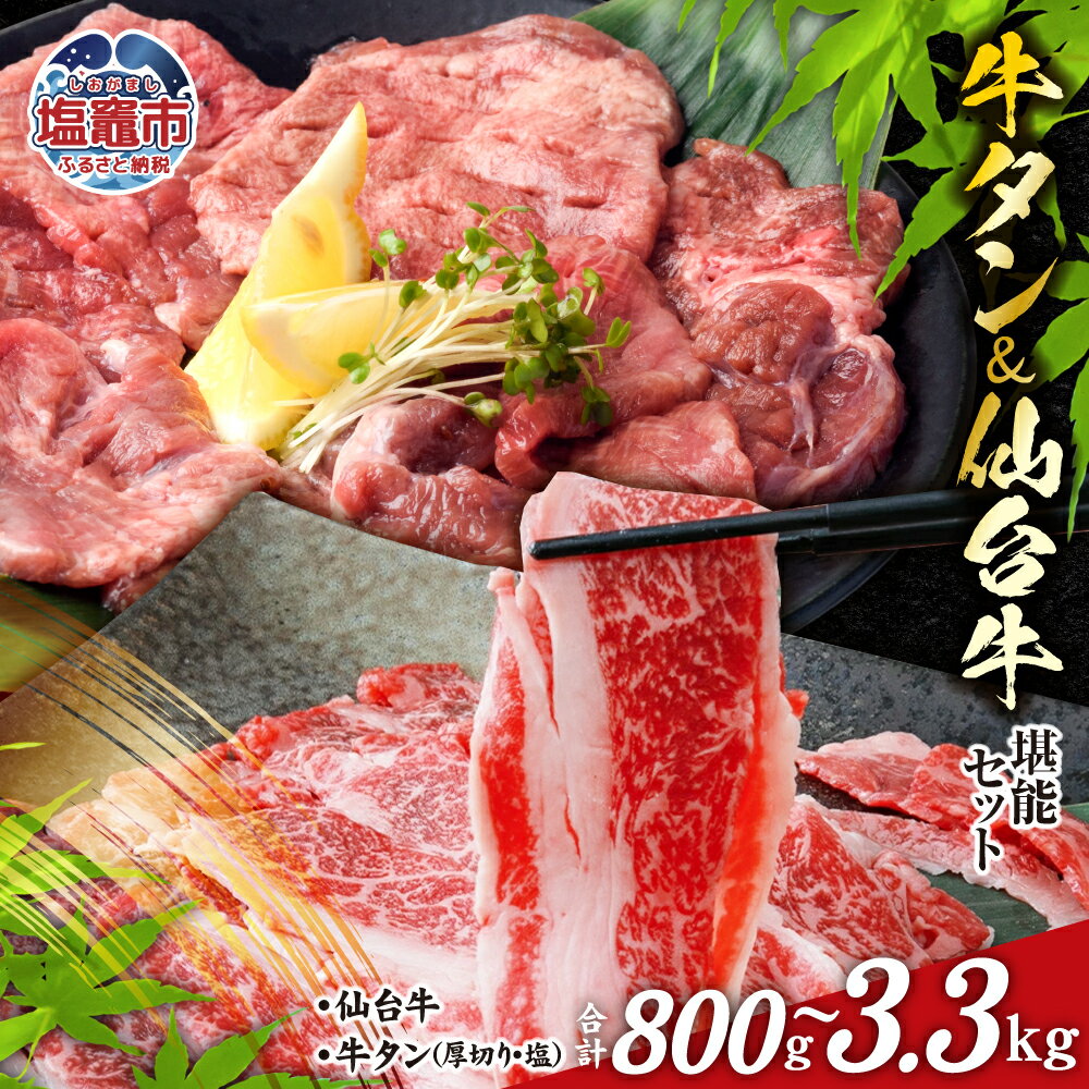 【ふるさと納税】お肉の宮城県堪能セット 800g〜3.3kg 牛肉 お肉 牛タン 牛たん タン タン塩 味付き タン中 厚切り 焼肉 BBQ バーベキュー 食べ比べ セット 冷凍 仙台牛 A5 B5 ランク 地域ブランド ブランド牛 切り落とし 切落し 塩竈市 宮城県 vsm5506919のサムネイル