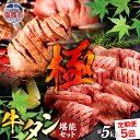 【ふるさと納税】 定期便 本場牛タン堪能贅沢セット・極(全5回) 塩竈市 塩釜市