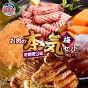 【ふるさと納税】 定期便 お肉屋さんのお肉の本気詰合せセット・梅<全3回> 塩竈市 塩釜市
