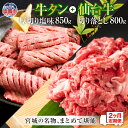 【ふるさと納税】 牛タン 厚切り 定期便 2回 仙台牛 お肉の宮城県堪能セット 毎月1.65kg/計3.3kg 牛肉 お肉 牛たん タン タン塩 味付き タン中...