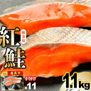 【ふるさと納税】 訳あり 鮭 無添加 紅鮭 切り身 小分け 1.1kg(2切入×11) 冷凍 甘塩 うす塩 訳アリ 規格外 紅サケ 個包装 さけ サケ シャケ ...