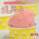 【ふるさと納税】オリジナルジェラート12カップ(プレミアムフレーバー入り) Gelateria Fruits laboratory ジェラテリア フルーツラボラ...