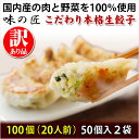 【ふるさと納税】【訳あり品】こだわり本格生餃子100個(20人前)　【04203-0451】