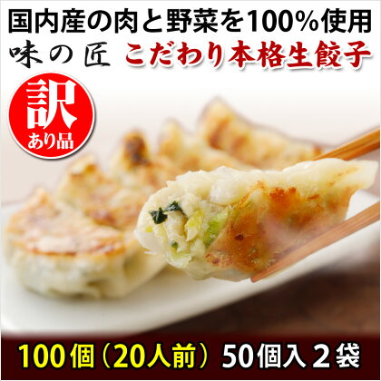 【訳あり品】こだわり本格生餃子100個(20人前)　【04203-0451】