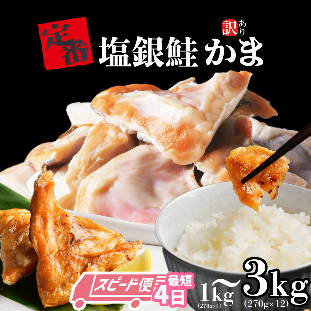 【ふるさと納税】[スピード発送 最