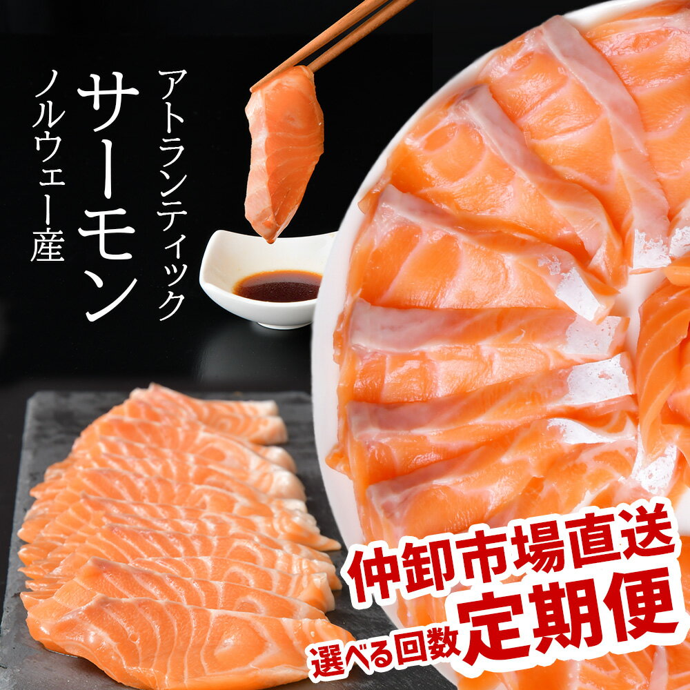 【ふるさと納税】 定期便 12回 〜 3回 サーモン 無添加 生サーモン 特上 半身 小分け 1.3kg×回数 骨取り 刺身用 上質の脂 ノルウェー産 新鮮 小...