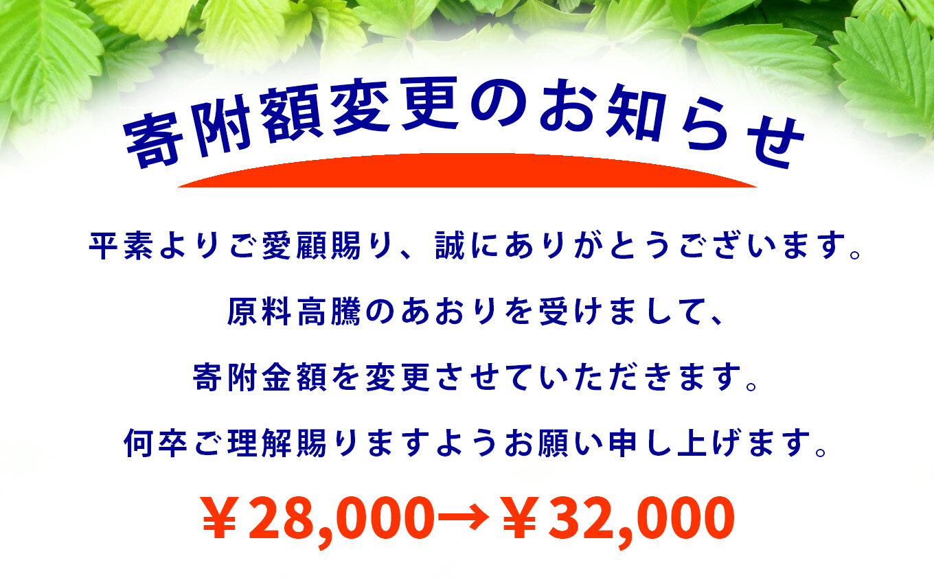 【ふるさと納税】 サーモン 無添加 生サーモン 特上 半身 小分け 1.3kg 骨取り 生食 サーモン刺身 上質の脂 ノルウェー産 新鮮 小分け4パック 骨なし 皮なし おすすめ 刺身 鮭 さけ サケ シャケ アトランティック サーモン 魚 お刺身 おせち 宮城県 塩竈市 塩釜市 宮内商店