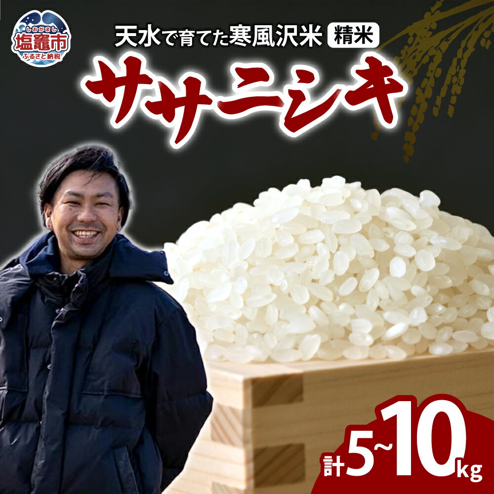 [先行予約 11月〜発送開始]ササニシキ 精米 5kg~10kg