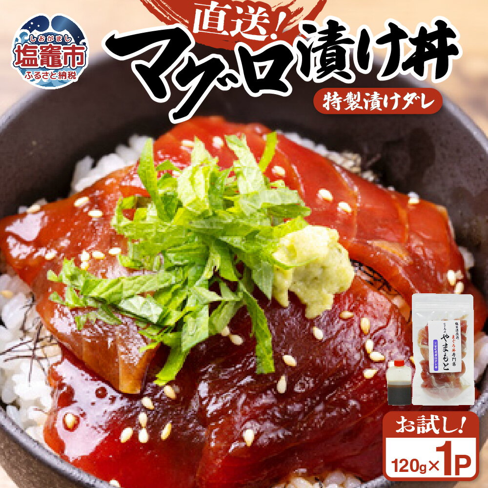 【ふるさと納税】 【直送マグロ使用】まぐろパック 特製漬けタレ付き お試し 120g×(1~10パック) 塩竈市 塩釜 TUNA まぐろ屋やまもと | tu00001