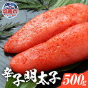 【ふるさと納税】辛子明太子 500g