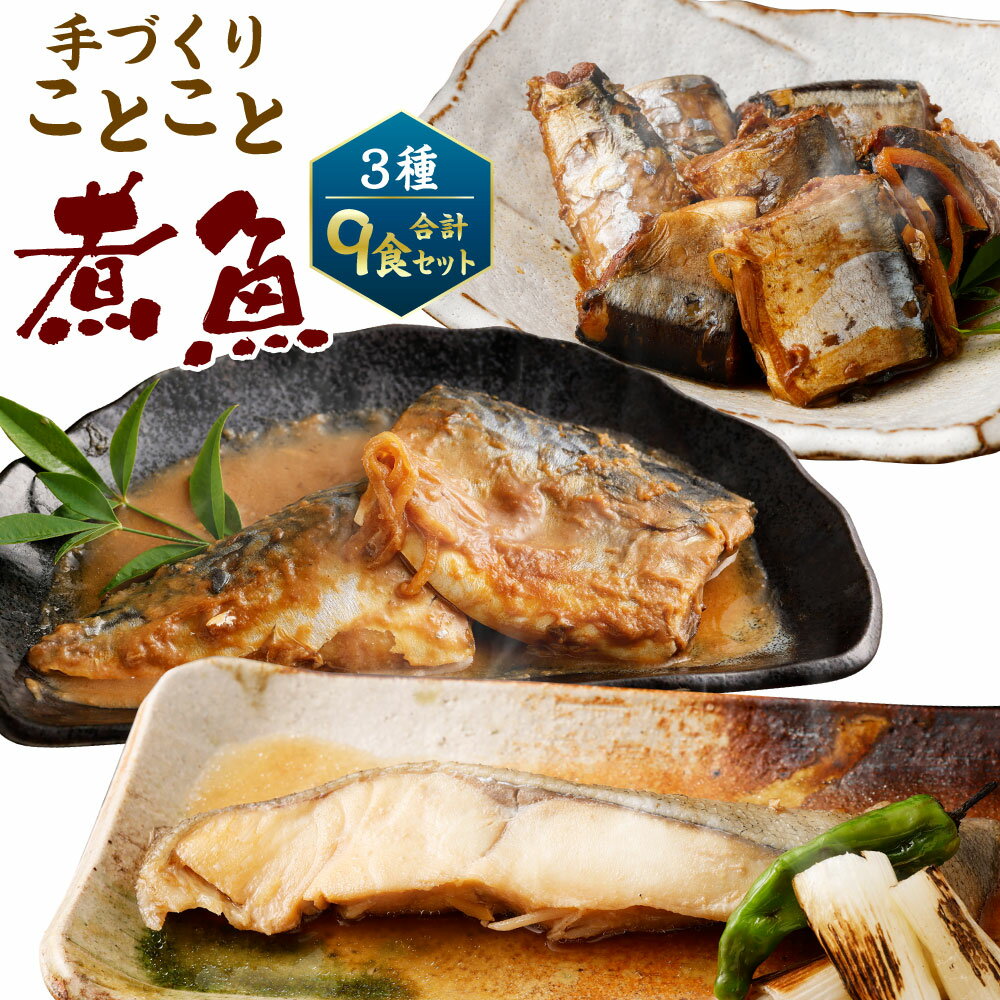 【ふるさと納税】＜手づくり＞ ことこと煮魚セットA 合計9食（3種×3食）ナチュラル・キッチン・たらや 金華さば 鯖 仙台 みそ煮 白ひら..