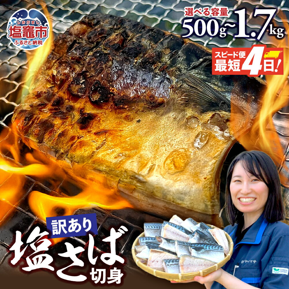 【ふるさと納税】 無添加 訳あり トロ 塩さば 1.7kg〜500g 鯖 さば 冷凍 食品 小分け 大容量 人気 魚 魚介 魚貝 海鮮 弁当 惣菜 贈答 プレゼ...