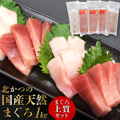 北かつのマグロ上質セット (マグロ中トロ 200g マグロ上質赤身 200g×2 メカジキ 200g びんちょう 200g）合計1kg [北かつ商事 宮城県 気仙沼市 20562377] 魚 鮪 マグロ トロ 中トロ まぐろ 赤身 刺身 魚介類 魚介 新鮮 高級 メカジキ メバチ めばち 冷凍