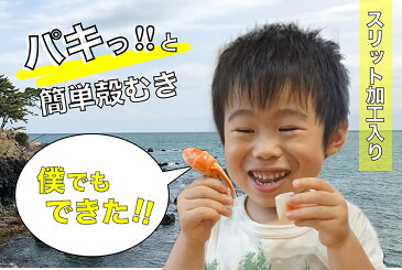 【ふるさと納税】老舗カニ卸業者から直送 ! 本ずわいがに 爪 約800g 切れ目入 / カネダイ / 宮城県 気仙沼市(ずわいがに ズワイガニ ずわい蟹 ズワイ蟹 ずわい ズワイ 蟹 カニ カニ爪 蟹爪 カニ爪肉 ボイル)