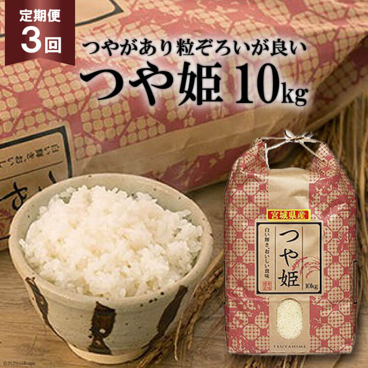 【ふるさと納税】米 3回 定期便 宮城産 つや姫 10kg×